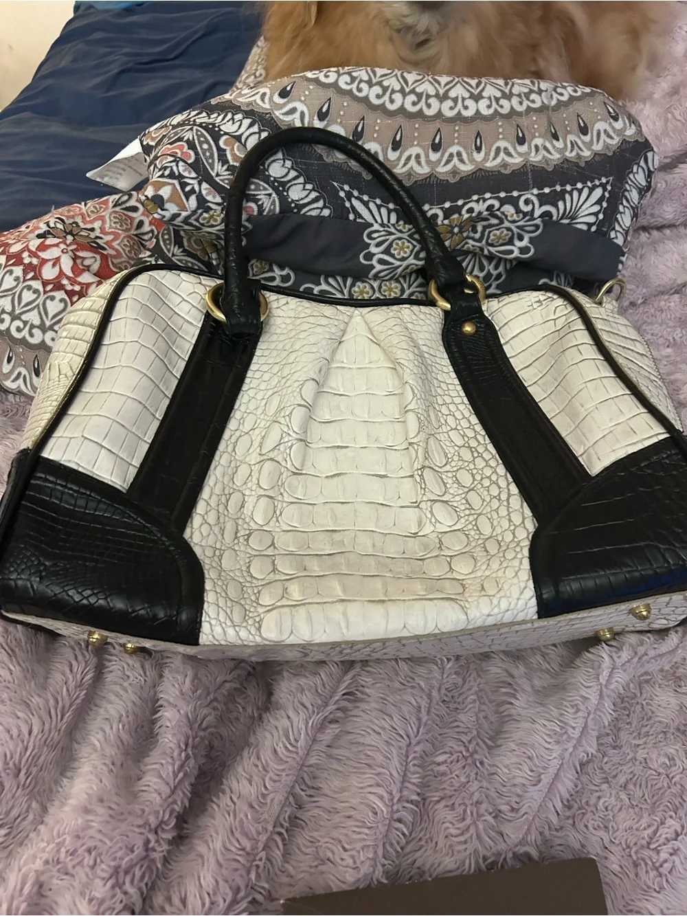 Brahmin White Croc-Embossed Satchel with Black Trim